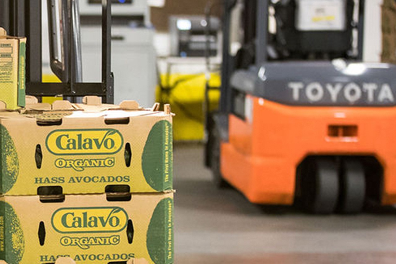 Forklift with Avocado Boxes